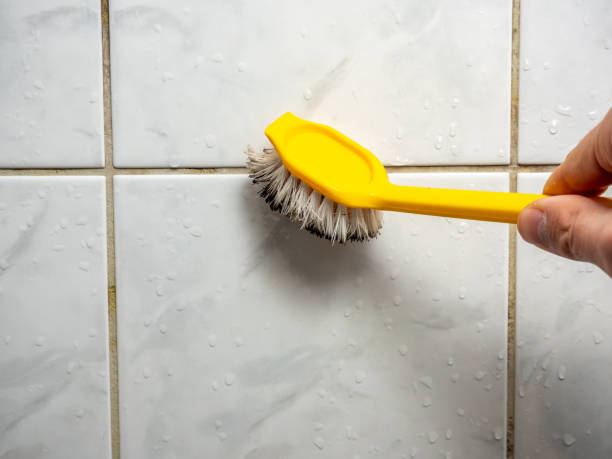 Best Black Mold Removal  in Poquott, NY