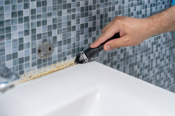 Best Professional Mold Removal  in Poquott, NY